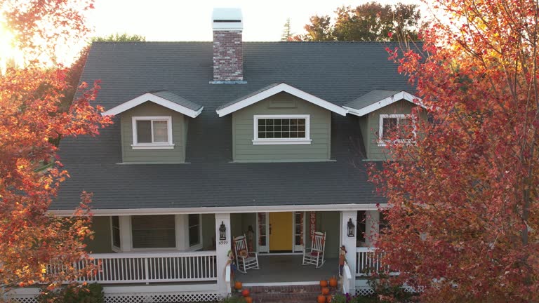 Best Roof Maintenance and Cleaning  in Holbrook, NY